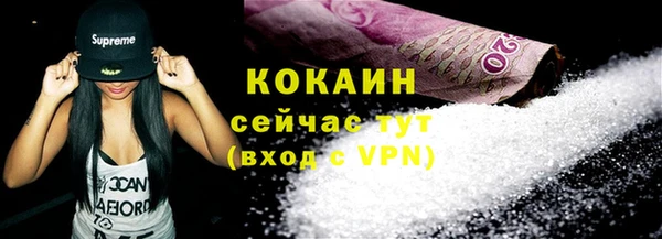 ПСИЛОЦИБИНОВЫЕ ГРИБЫ Абаза