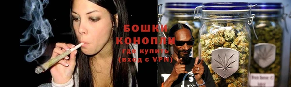 ПСИЛОЦИБИНОВЫЕ ГРИБЫ Абаза