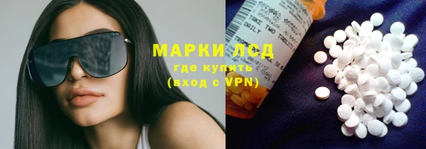 ПСИЛОЦИБИНОВЫЕ ГРИБЫ Абаза