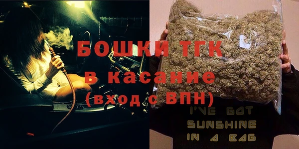 гашик Алексеевка