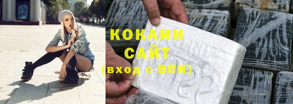ПСИЛОЦИБИНОВЫЕ ГРИБЫ Абаза
